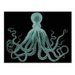 Blue Octopus Postcard