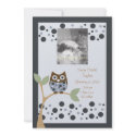 Blue Owl Birth Announcment.. invitations
