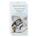 Blue Owl Photo Birth Announcements photo cards