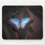 Blue Painted Lady Mousepads