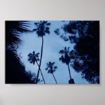 Blue Palms posters