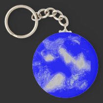Blue Panda keychains
