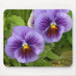 Blue Pansies 36a Mouse Pads