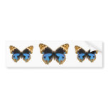 Blue Pansy Butterfly Bumper Sticker