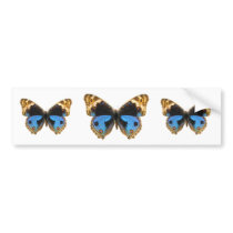 Blue Pansy Butterfly Bumper Sticker
