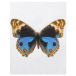 Blue Pansy Butterfly Flyers