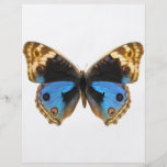 Blue Pansy Butterfly Flyers