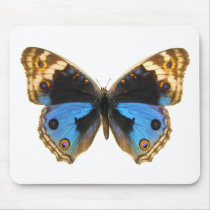 Blue Pansy Butterfly Mouse Pad