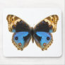 Blue Pansy Butterfly Mouse Pad