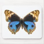 Blue Pansy Butterfly mousepads