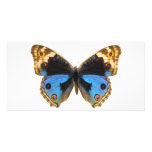 Blue Pansy Butterfly Personalized Photo Card