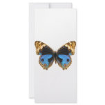 Blue Pansy Butterfly Full Color Rack Card