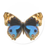 Blue Pansy Butterfly Sticker