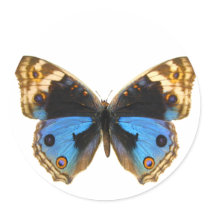 Blue Pansy Butterfly Sticker