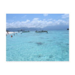 Blue Paradise Postcard