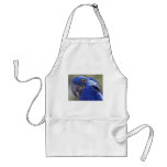 Blue Parrot Aprons
