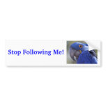 Blue Parrot Bumper Sticker