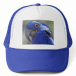 Blue Parrot Mesh Hat