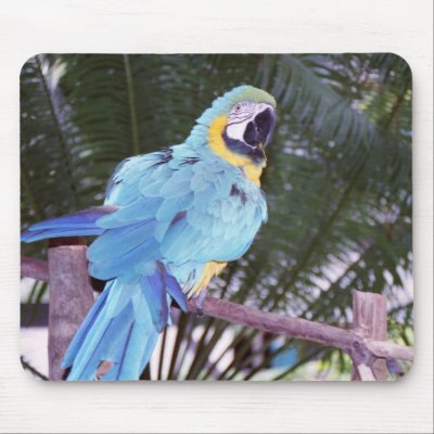 blue parrot mouse pad by eunicorn