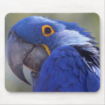Blue Parrot Mousepad