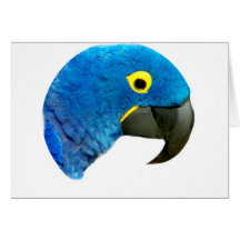 Blue Parrot of Love_ Card