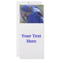Blue Parrot Rack Card