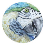 blue parrot round sticker