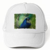 Blue Peacock Baseball Hat