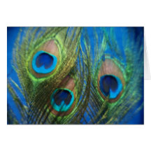 Blue Peacock Feather Wedding Greeting Card