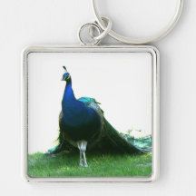 Blue peacock just grass clear sky keychain