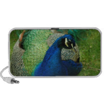 Blue Peacock Portable Speakers