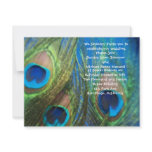 Blue Peacock Wedding Invitation