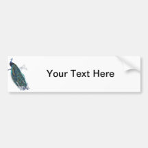 Blue Peacock with beautiful tail feathers Bumper Stickers