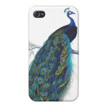 Blue Peacock with beautiful tail feathers iPhone 4/4S Case