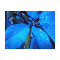 Blue Petals Post Card