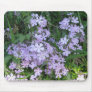 Blue Phlox, P. divaricata Mouse Mat