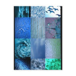 Blue Photo Collage Postcard