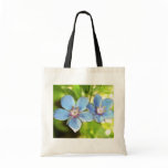 Blue Pimpernel (Anagallis monelli) Flowers Bag