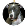 Blue pitbull puppy ornament
