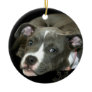 Blue pitbull puppy ornament