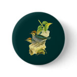 Blue Pitta Buttons