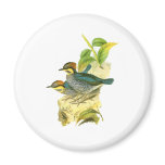 Blue Pitta Fridge Magnets