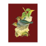 Blue Pitta Post Card