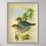 Blue Pitta Posters