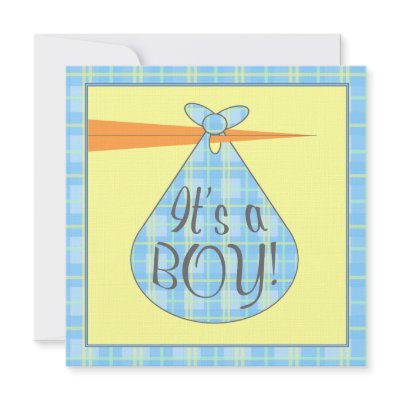 Blue Plaid Stork Baby Shower Invitation by JillsPaperie