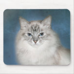 Blue point Himalayan cat Mouse Pad