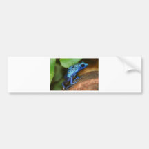 blue poison arrow frog bumper stickers