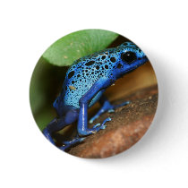 blue poison arrow frog pins