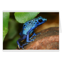blue poison arrow frog greeting card