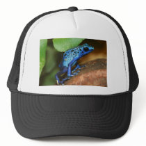 blue poison arrow frog trucker hat